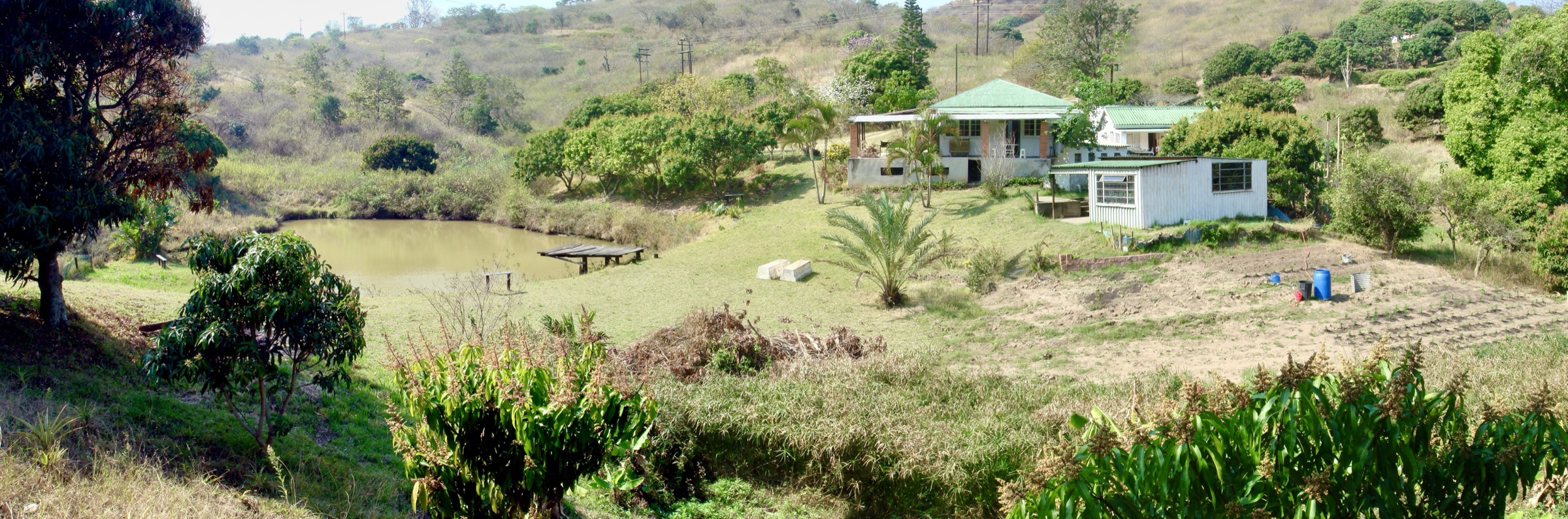 A panoramic view of a South African homestead and surrounding landscape in 2003